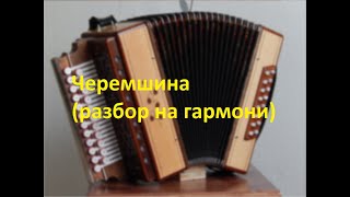 Черемшина(разбор на гармони с цифрами)