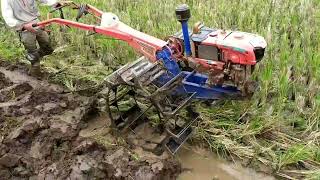 Singkal Santuyy,,Traktor Quick G1000 di Lahan Dangkal