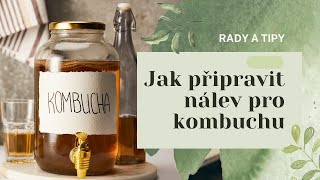 Pěstujeme kombuchu