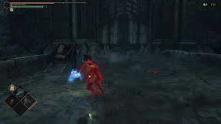 Demon's Souls CRAZY 1v1