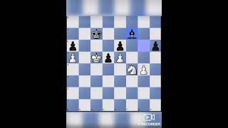 Short chess puzzles Mate in 2