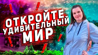 От первого лица | Уникальная атмосфера Александровского парка