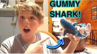 EATING the WORLDS LARGEST GUMMY SHARK!!!