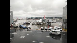 Flight Report | Turkish Airlines Airbus A330-300 Business Class | Istanbul - Milan