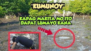 KAPAG MAKITA MO ITO'IWASAN MO NA l PUTIK NG KUMUNOY