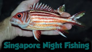 Night Fishing in Singapore for Rare Nocturnal Fish Species