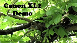 Canon XL2 Demo - See Video Description