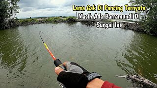 SUNGAI KECIL INI GAK PERNAH LAGI DI PANCING PAS DI COBA TERNYATA MASIH ADA BARRAMUNDINYA