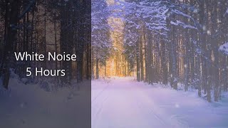 Snowfall in the woods - White noise - 5 Hours