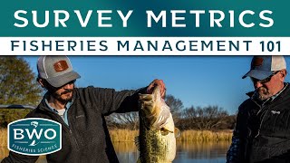 Survey Dashboard Metrics We Always Measure - Fisheries Management 101