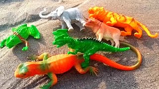 Menemukan Sapi Gajah KODOK Kadal Dinosaurus Kudanil Laba Laba Harimau - Vlog Hewan Lucu di pantai