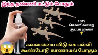 பல்லியை ஓட ஓட விரட்ட இது ஒண்ணு போதும்|kitchen tips in tamil|@trending