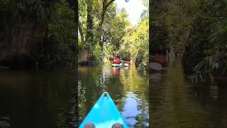 kayaking at Meghalaya!!!                    Meghalaya#nature#landscape#beautiful#Scotlandofeast