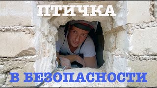 #154. Ежегодная борьба. Условия для нашей птицы. Огород. [Жизнь на своей земле]