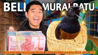 AKHIRNYA BELI MURAI BATU IMPIAN JUTAAN RUPIAH! BUNGKUS YANG TRAH JUARA!