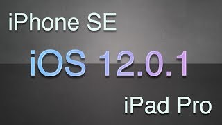 Работа iPhone SE и iPad Pro на iOS 12.0.1