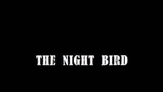 THE NIGHT BIRD - homemade song - 2 string cbg