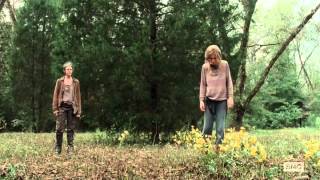 Looking at Flowers (from Walking Dead)