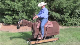 Left Lead Canter Departure - Steve Lantvit Horseman's Minute with the Equicizer