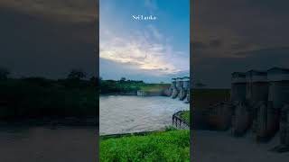 #beautiful #dam #srilanka #park #water #bluesky #birds #nature #shorts