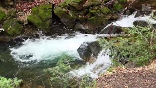 Forest Creek Nature Sounds | Stress relief, relaxation and meditation | Waterfall sounds