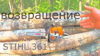 STIHL 361 РЕИНКАРНАЦИЯ и возвращение в работу.Новая рубка.Валка леса и не только!!!