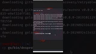 How to install dnsprobe in Kali Linux#shorts