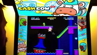 Cash Cow DX - new Steam/PC arcade game - OUT NOW!