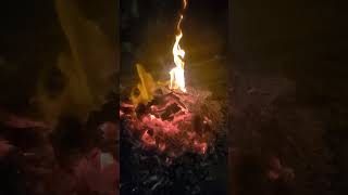 Happy Lohri