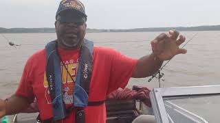 Catching Channel cats at Perry Lake.