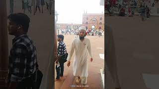 jama masjid Delhi ka khoobsurat manzar #subhanallah #deen #allaahu #nzam #masjidinislam #shortvideo