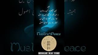 #muslims4peace #messiahhascome