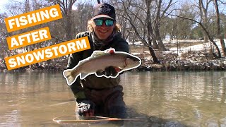 Post Frontal Conditions {SNOWPOCALYPSE} | Rainbow Trout Fishing