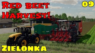 Harvesting RED BEET - Zielonka Ep 9 Farming Simulator 22 Premium Expansion