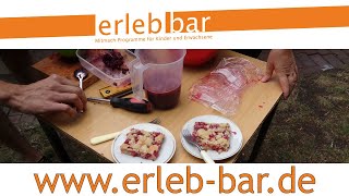 Kleines ABC der Erntehilfen – Jostabeeren ernten und verarbeiten