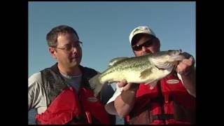 Swimbaits for bass and walleye