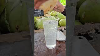 Cool and Fresh Coconut Cutting Skills. #shorts #coconut #short #viralvideo #fresh #satisfying