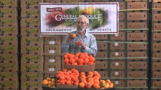 The Produce Beat - Blood Oranges, Murcotts & Mineolas