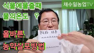 식물에 물줄때 물의온도?          올바른 농약살포방법?