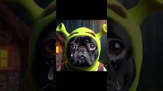 Inky panky ponky daddy bought a donkey #frenchie #shrek #frenchbulldog