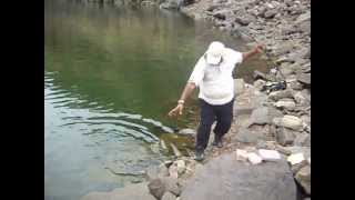 Srisailam fishing part 2