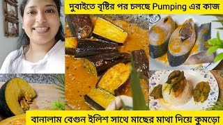 দুবাইতে অনেক জায়গায় চলছে water pumping এর কাজ, বানালাম বেগুন ইলিশ সাথে মাছের মাথা দিয়ে কুমড়ো