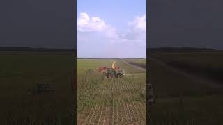 Advanced Machine Techniques: Corn Chopping 🌽🚜