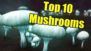 Pointless Top 10: Mushrooms in World of Warcraft