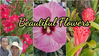 Tropical Flowers of the Bahamas & The Caribbean  | #tropicalflowers