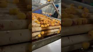 Aalu ka chips kaise banata hai factory me #making #shortvideo