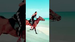 Beach horse riding Dubai #horse #horseridingschool #horseriding #horseing #equestrian