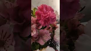 Flower #shortvideo #short #flower