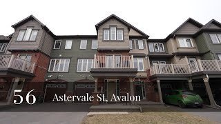 56 Astervale Street