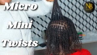 How To Do Micro Mini Twists Locs On Natural Hair With No Extension Added